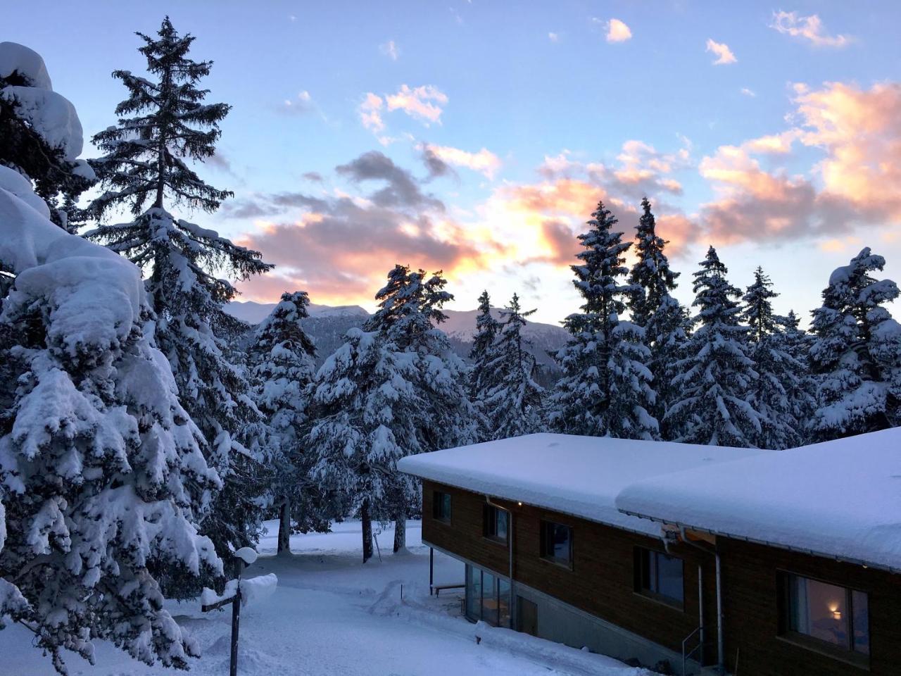 Sport- Und Ferienhaus Don Bosco Lenzerheide Eksteriør bilde